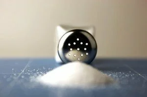 Salt Shaker