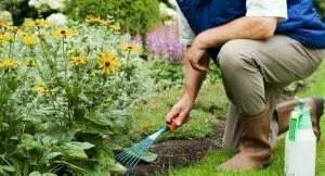 Gardening CanadianPharmacyMeds.com